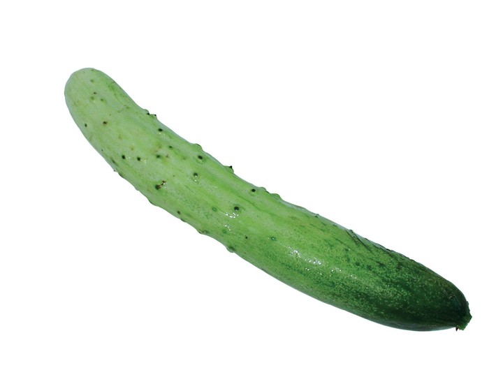 음식이미지