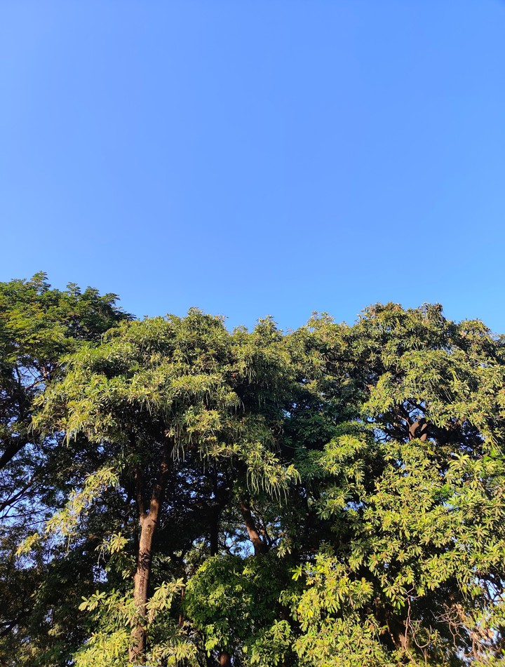 Blue Sky