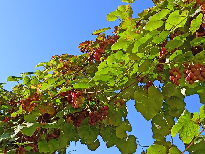 осень