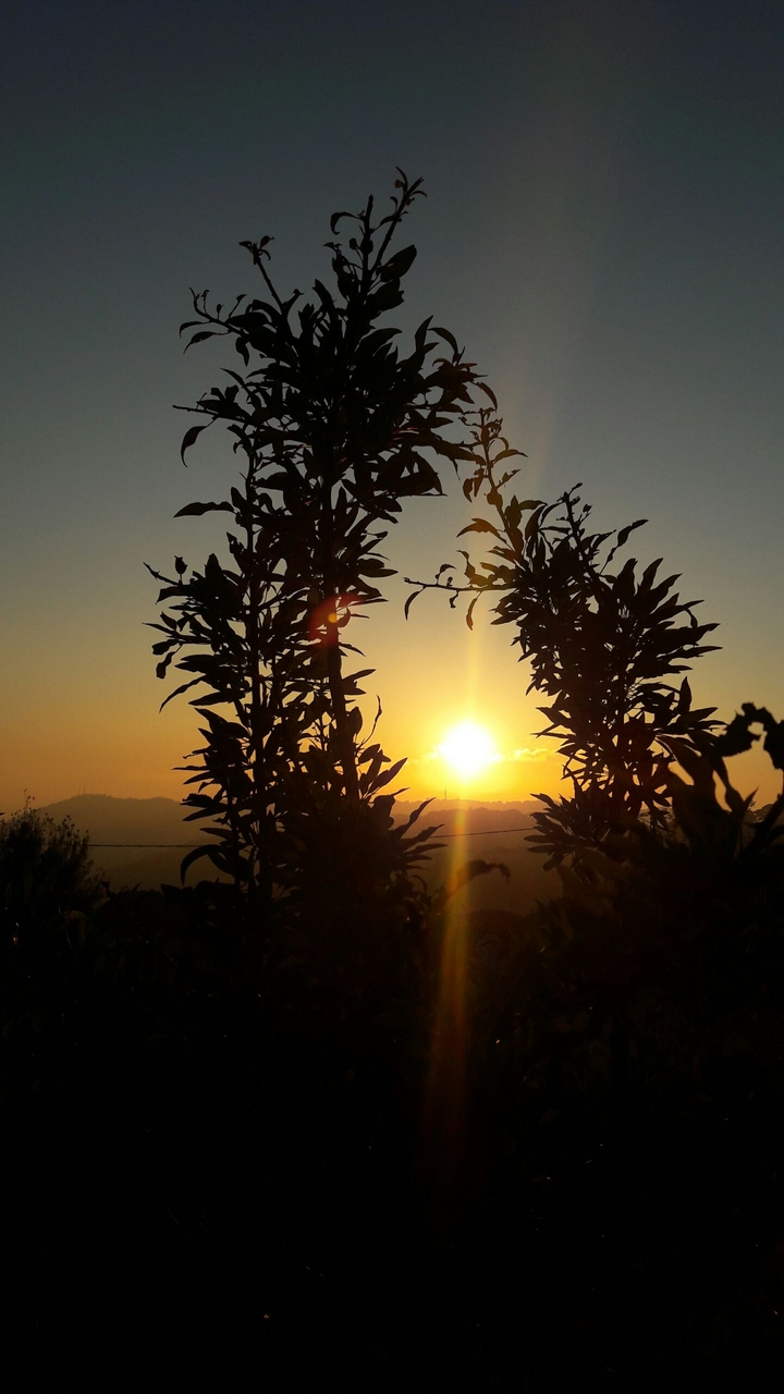 sunset