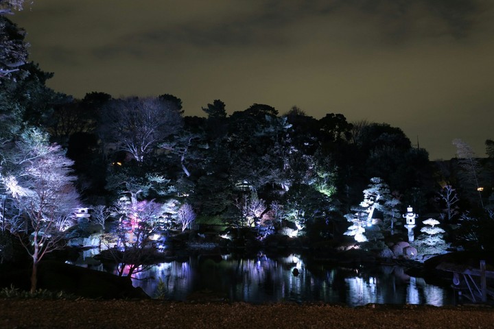 庭園