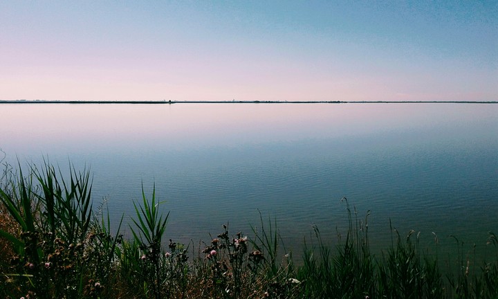 laguna
