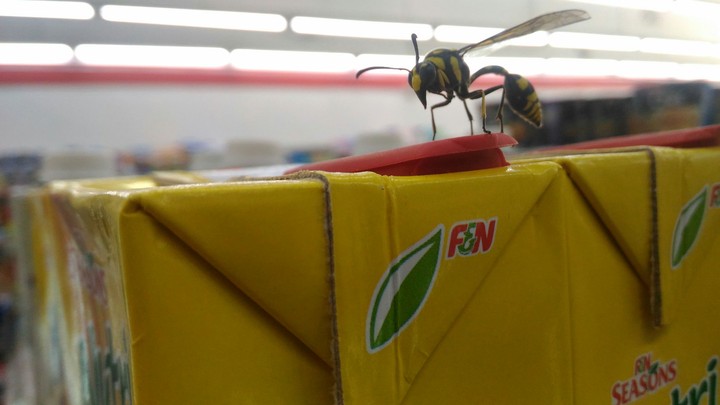 Bee On F&N