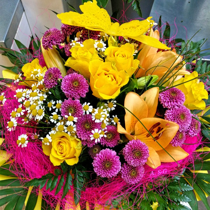 Colorful Blumenpracht