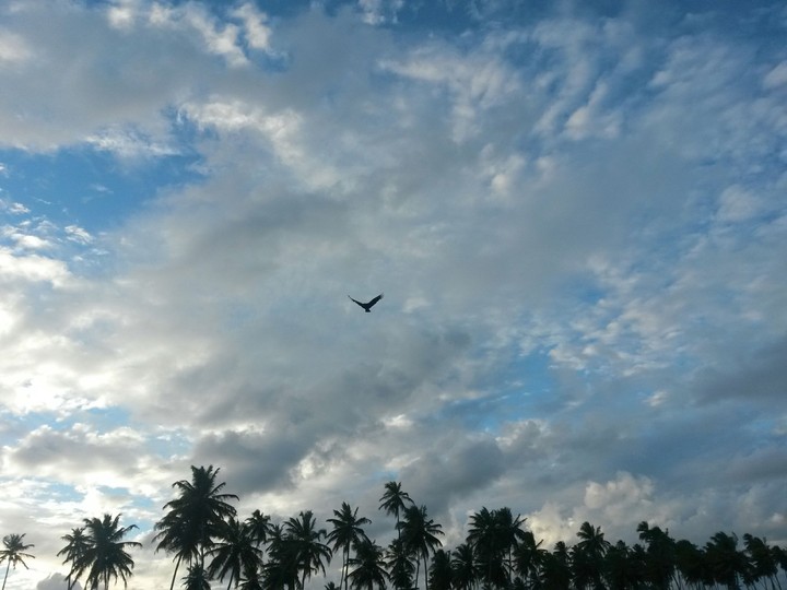 céu