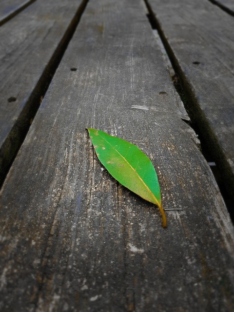 green on black