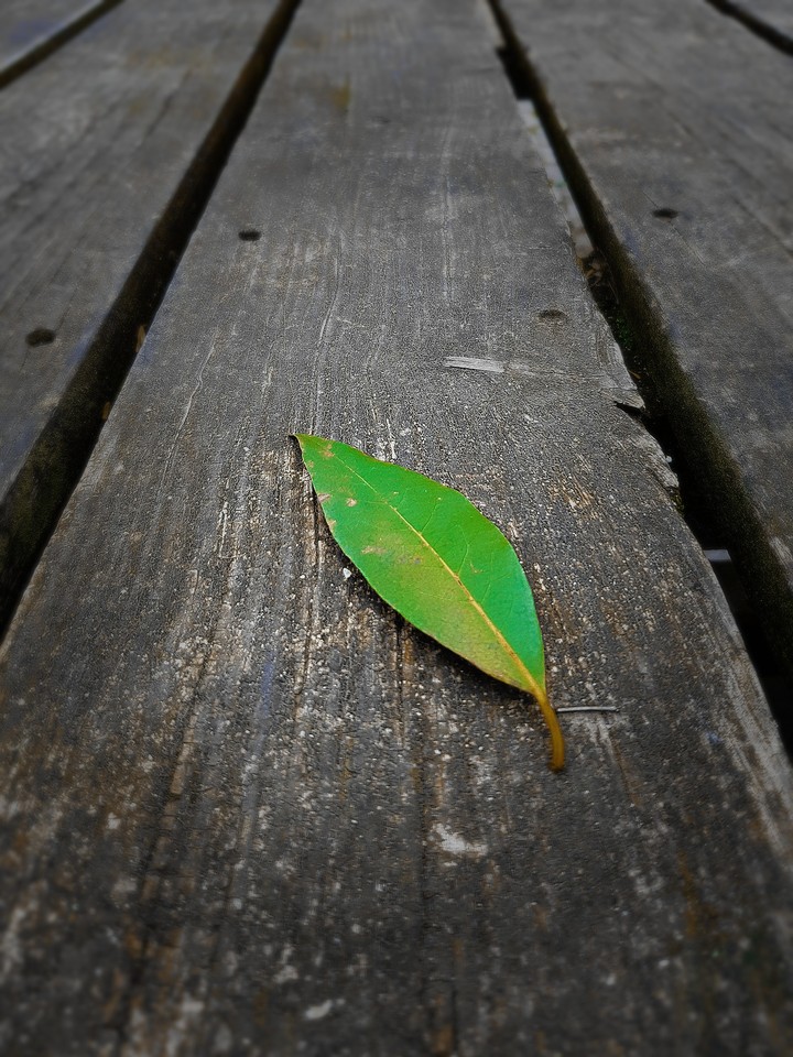 green on black