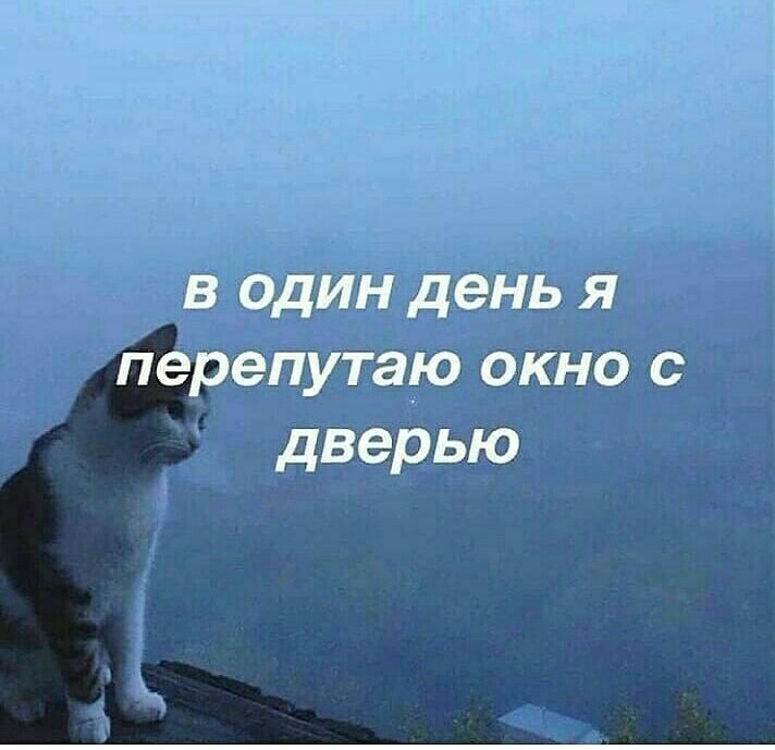 sadness