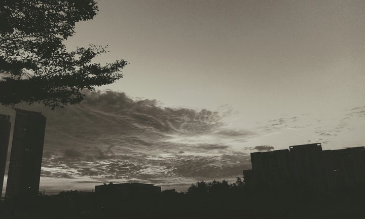 the dark embracing the sky