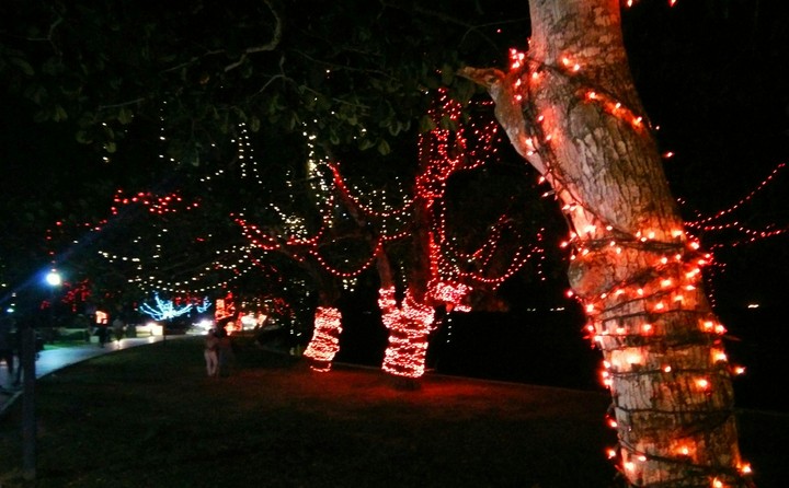 lights