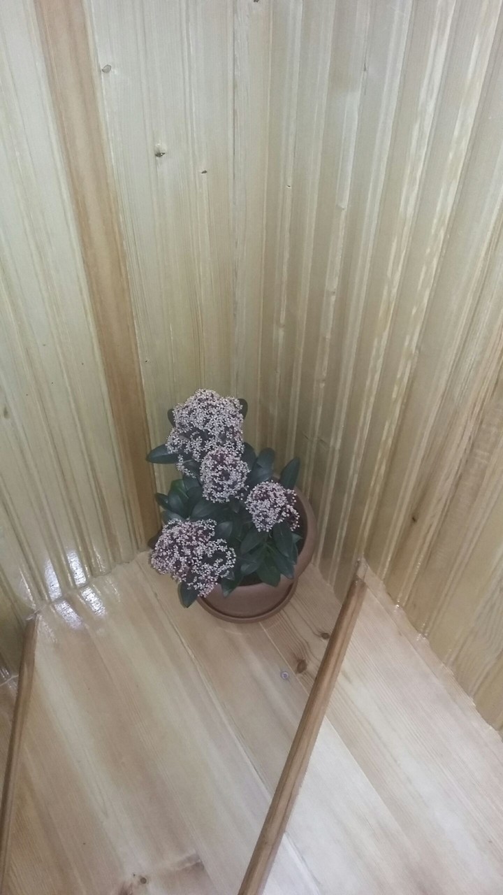 in pot
