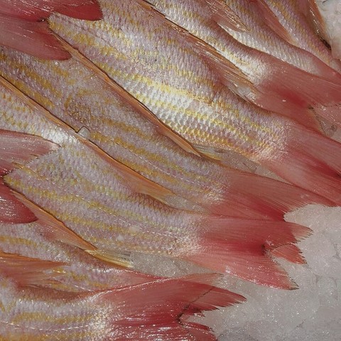 pink, seafood桌布