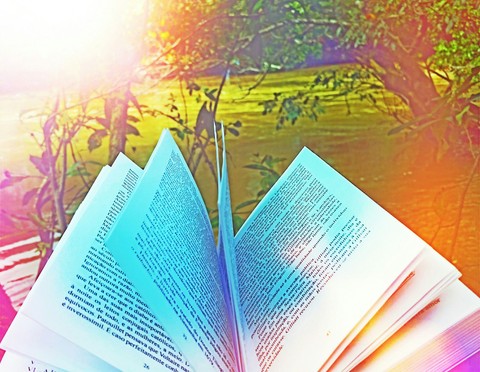 Ler, Fazenda, Paz!