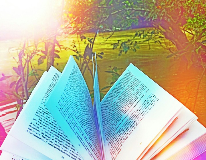 Ler, Fazenda, Paz!