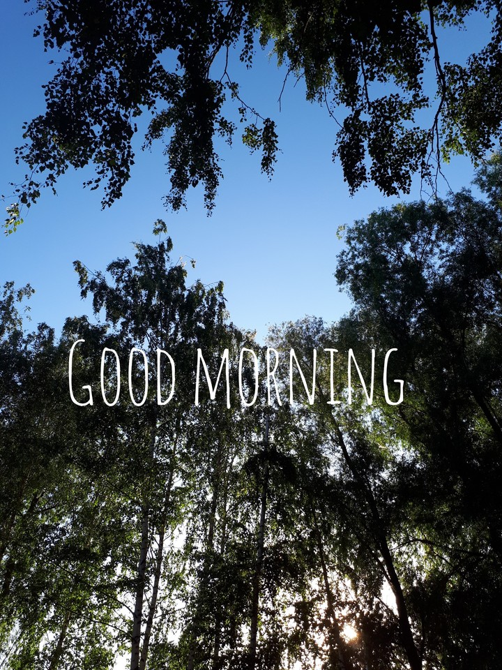 good morning
