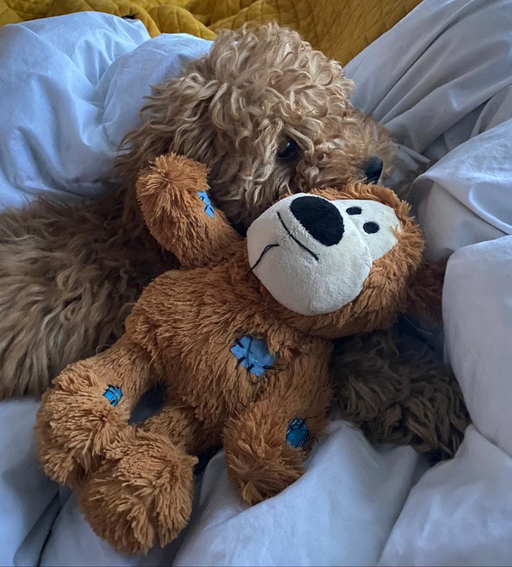 Me and my Teddy bear
