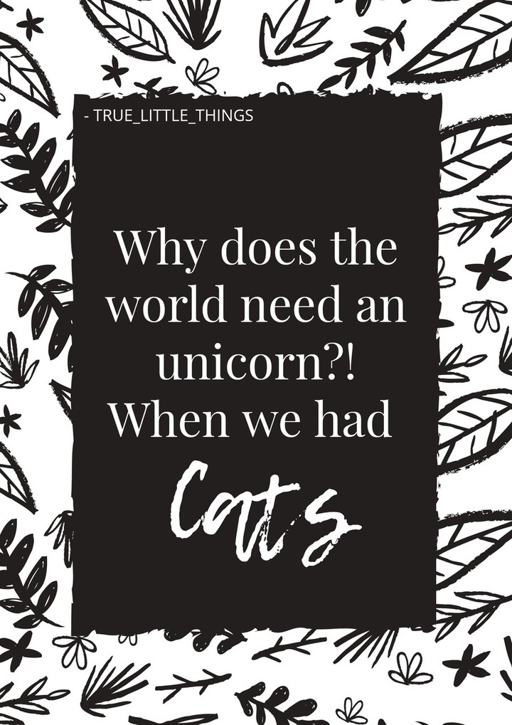 Sprüche von TRUE_LITTLE_THINGS