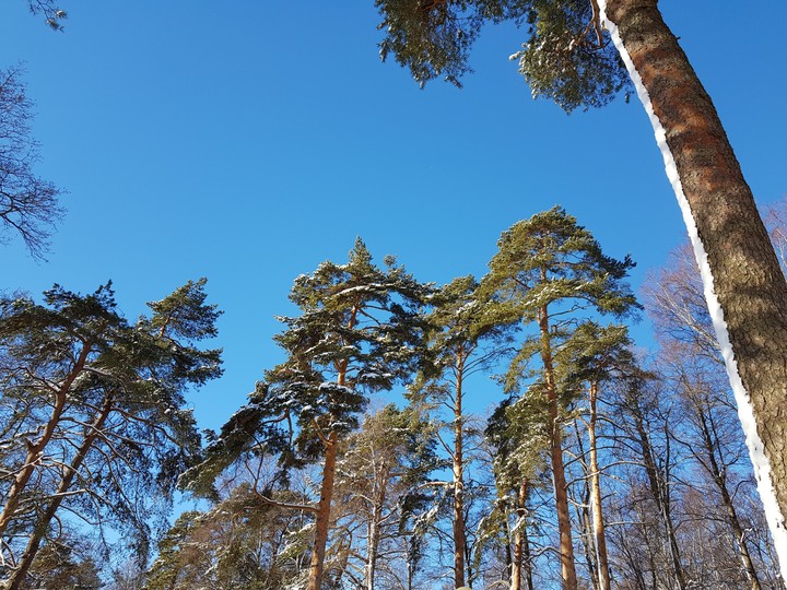 зима
