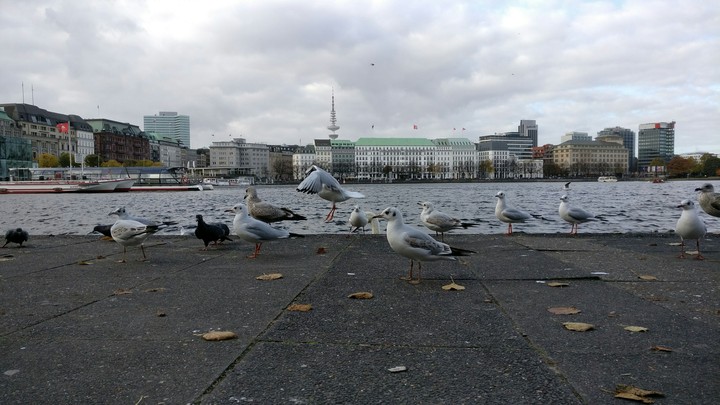 Hamburg