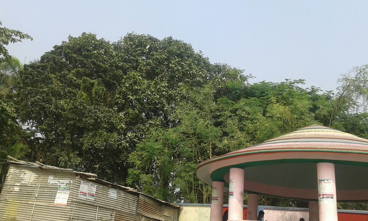 Rajshahi