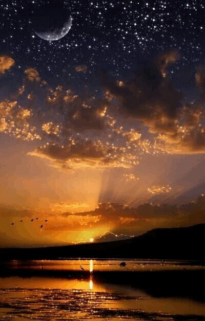 Universo