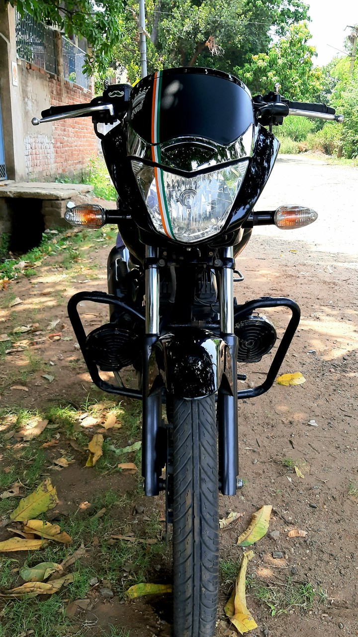 BLACK BEAST