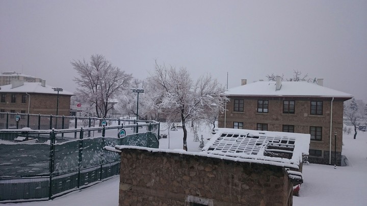 Snow in Spring