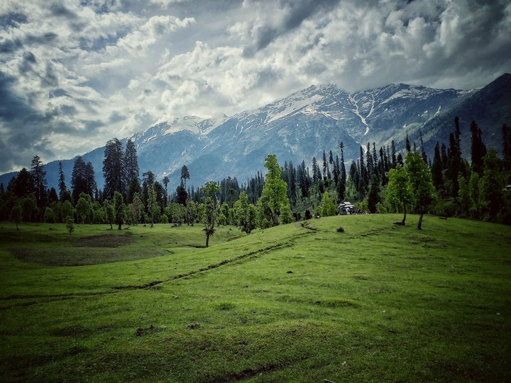 nature