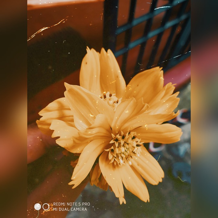 ❤