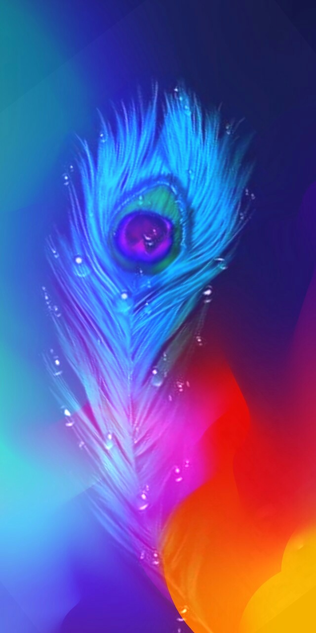 Peacock feather