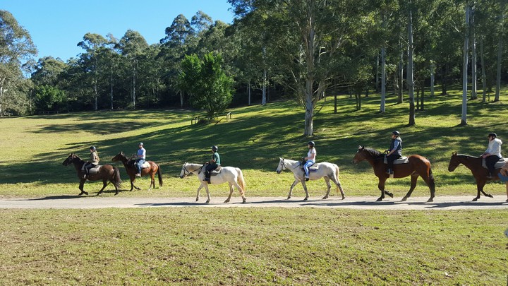 Horse Riding