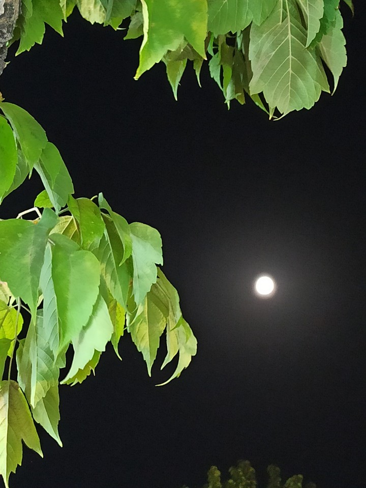 nice moon