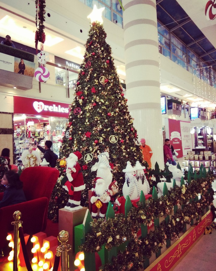 chrismas tree