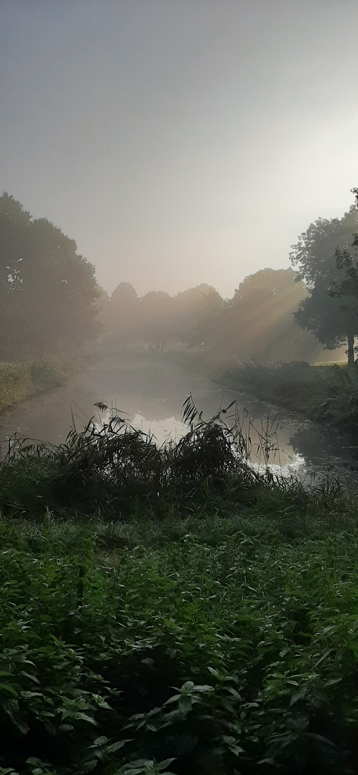 mistyweather and sunbeams