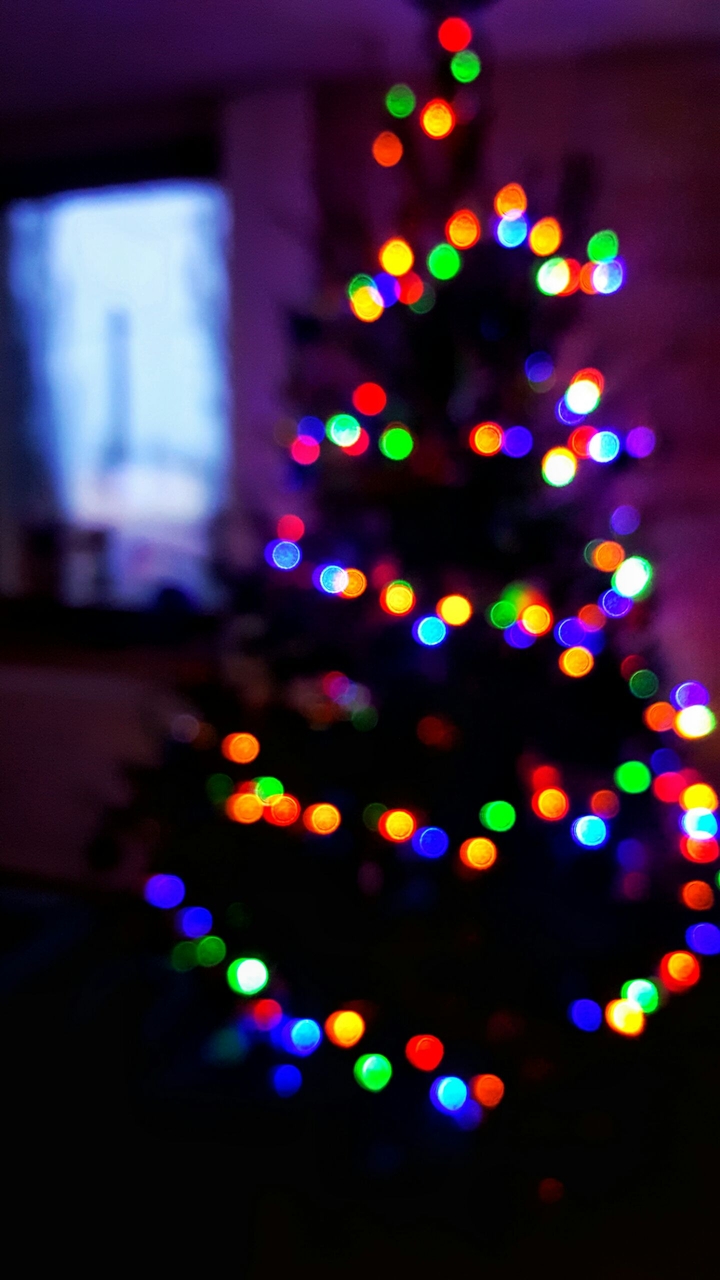 christmas lights