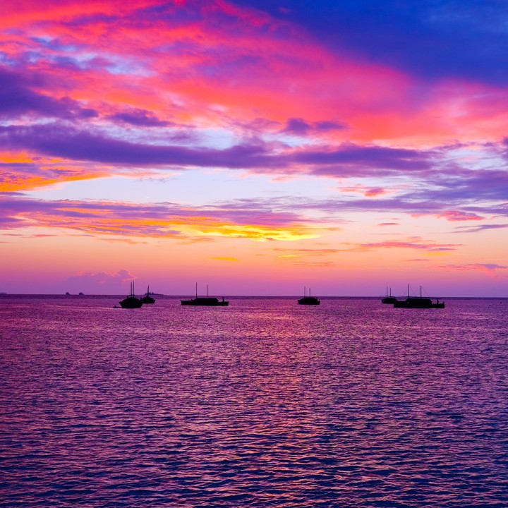 Violet Skies