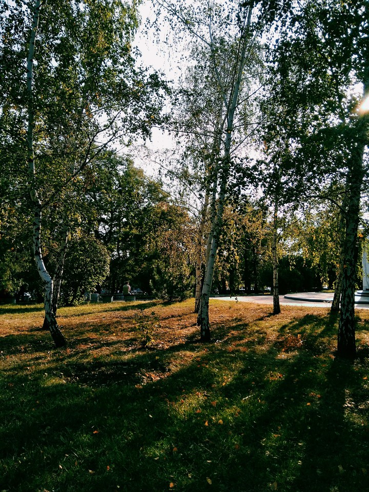autmn