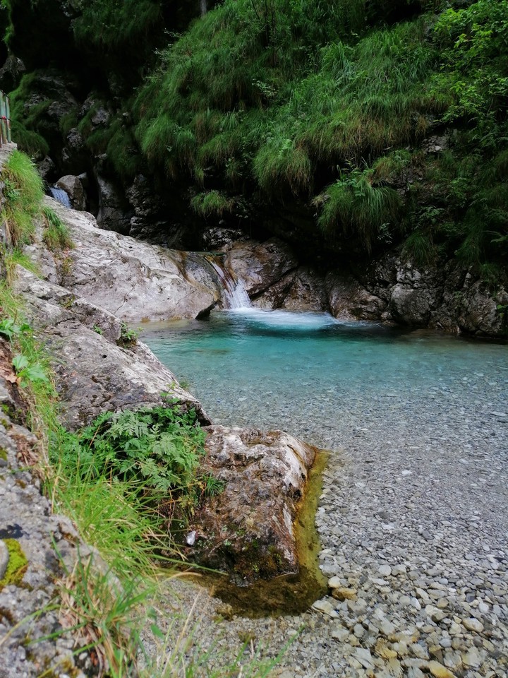 La natura è magica