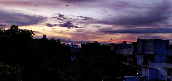 morning