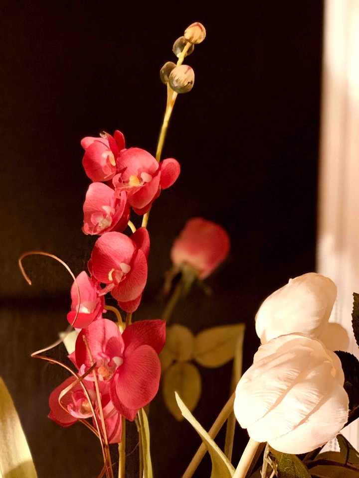 flowers
