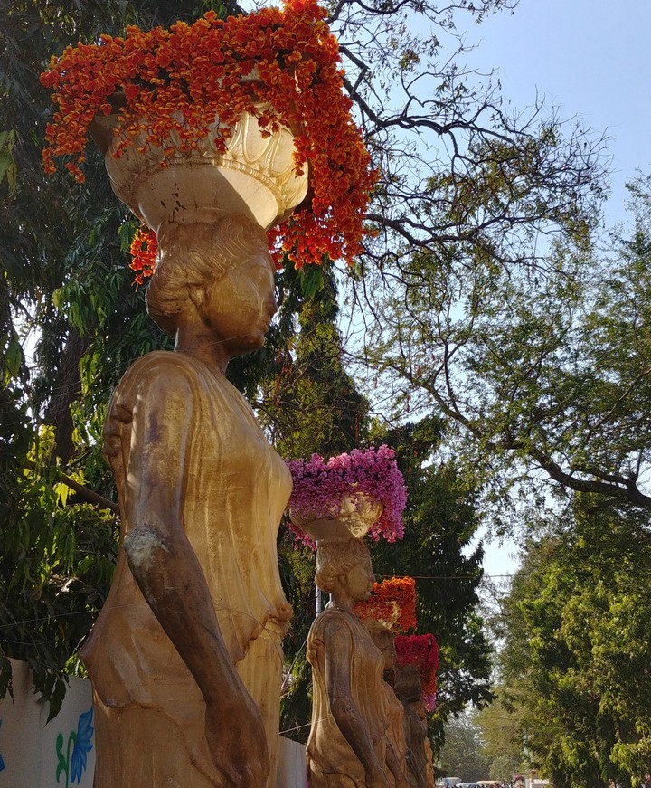 flower-fest kolhapur