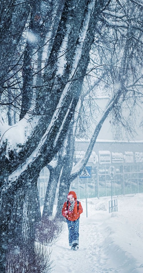 ταπετσαρίες winter, frost