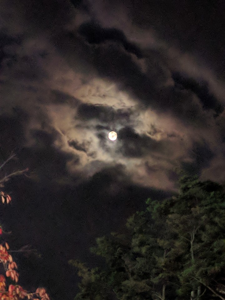 full moon