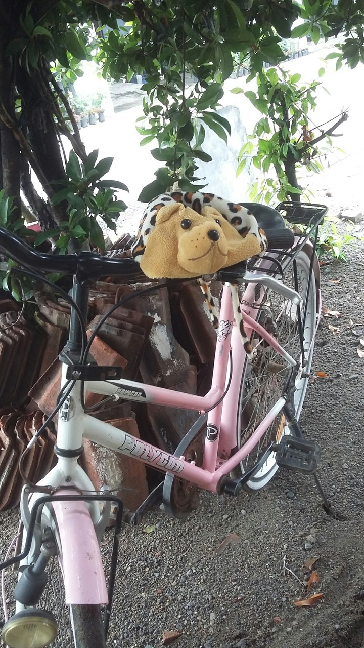 bicycle