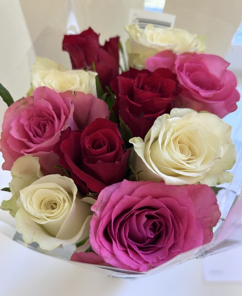 papéis de parede Roses, red