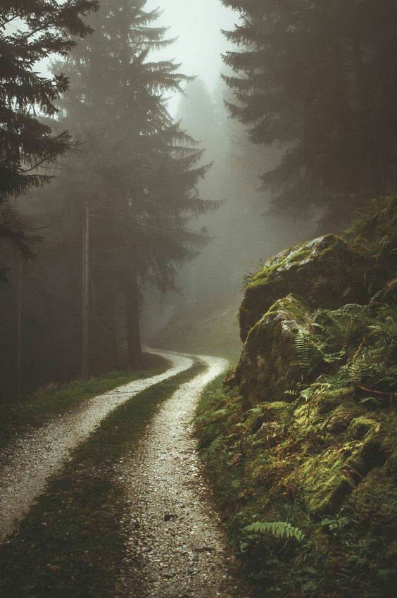 way of life