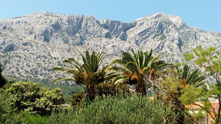 mountains