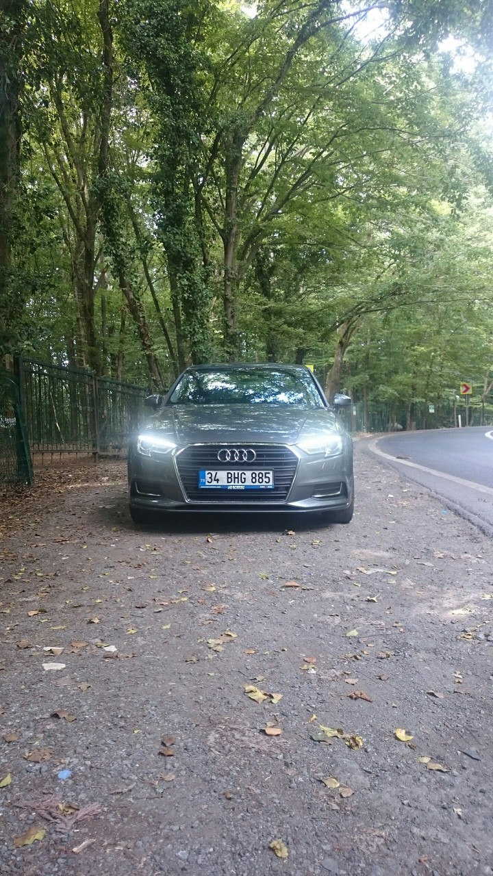 audi in forest