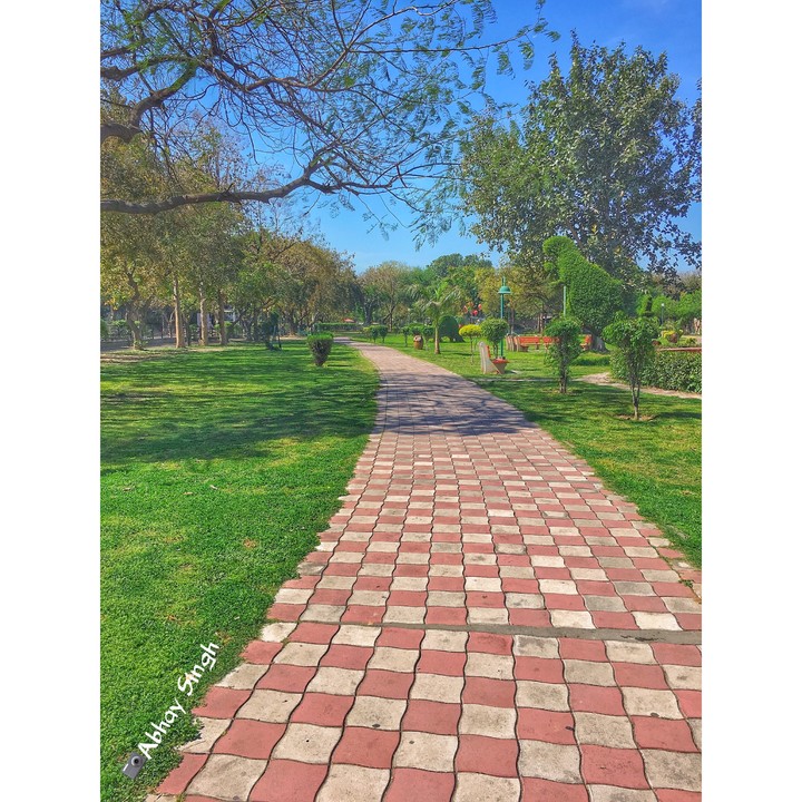 nature's beauty