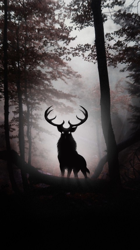 deer
